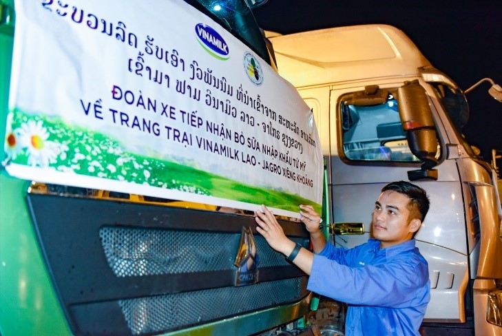 Trang trại Vinamilk Lao-Jagro tiếp nhận đàn bò sữa 1.000 con từ Mỹ Trang trại Vinamilk Lao-Jagro tiếp nhận đàn bò sữa 1.000 con từ Mỹ