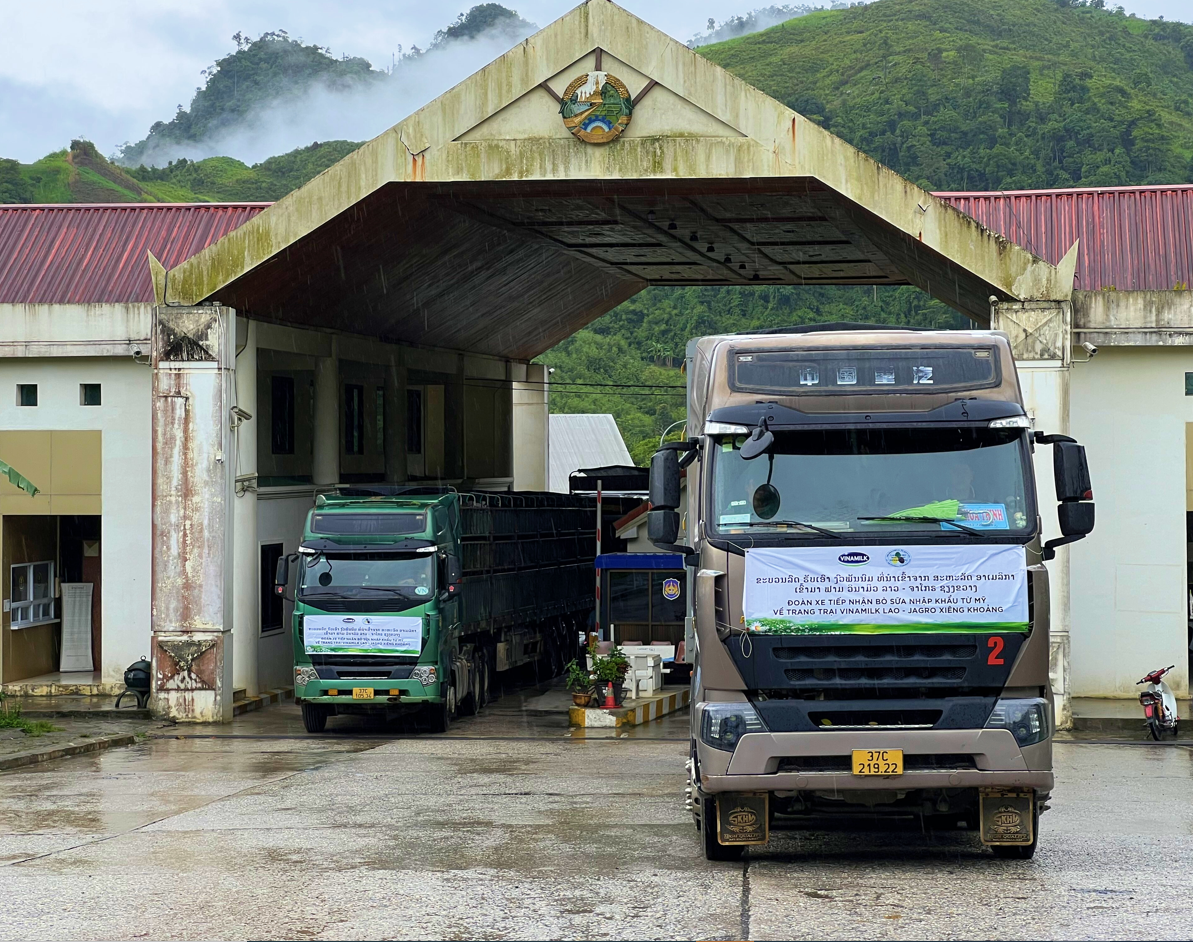 Trang trại Vinamilk Lao-Jagro tiếp nhận đàn bò sữa 1.000 con từ Mỹ Trang trại Vinamilk Lao-Jagro tiếp nhận đàn bò sữa 1.000 con từ Mỹ