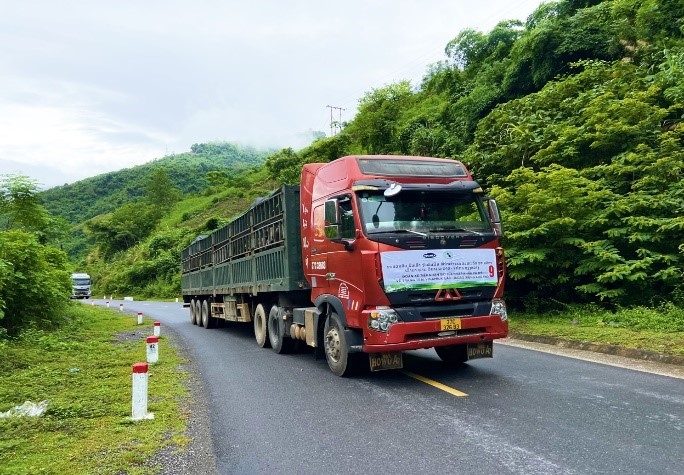 Trang trại Vinamilk Lao-Jagro tiếp nhận đàn bò sữa 1.000 con từ Mỹ