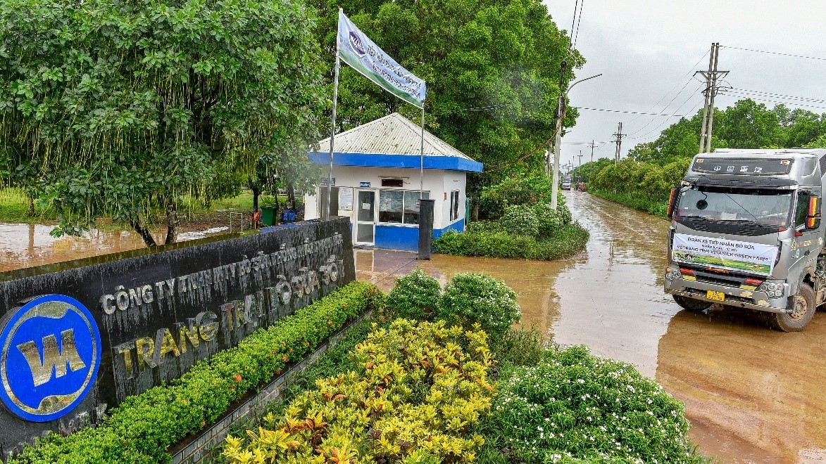 Vinamilk tiếp nhận thành công hơn 1.500 con bò sữa nhập từ Mỹ về các trang trại Green Farm