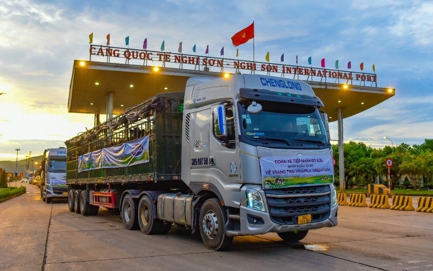 Vinamilk tiếp nhận thành công hơn 1.500 con bò sữa nhập từ Mỹ về các trang trại Green Farm