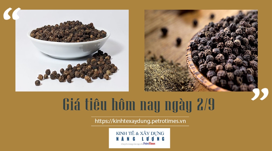 Giá tiêu hôm nay ngày 2/9: Trong nước cao nhất 78.000 đ/kg