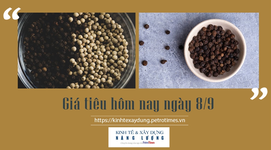 Giá tiêu hôm nay ngày 8/9: Tăng mạnh tại một số địa phương