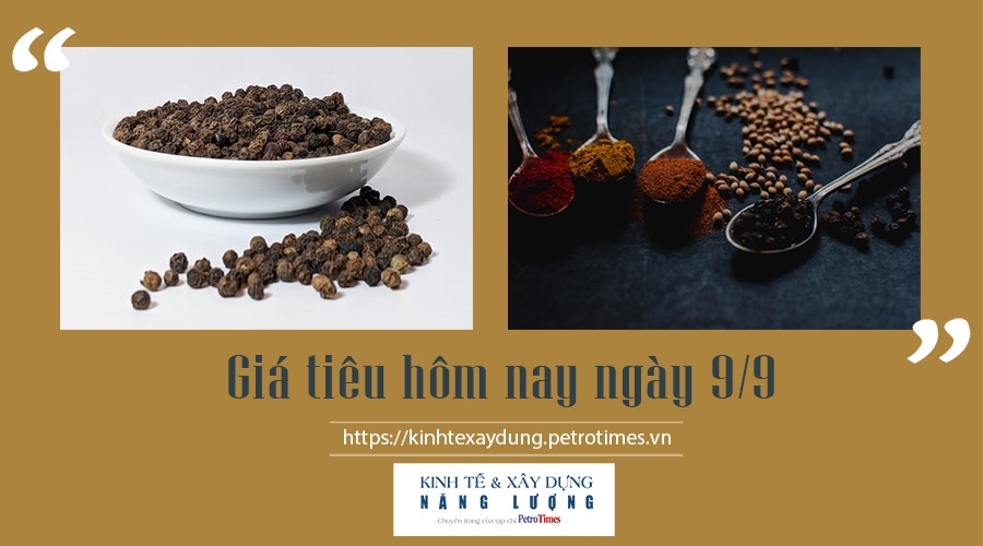 Giá tiêu hôm nay ngày 9/9: Giữ đà tăng nhẹ