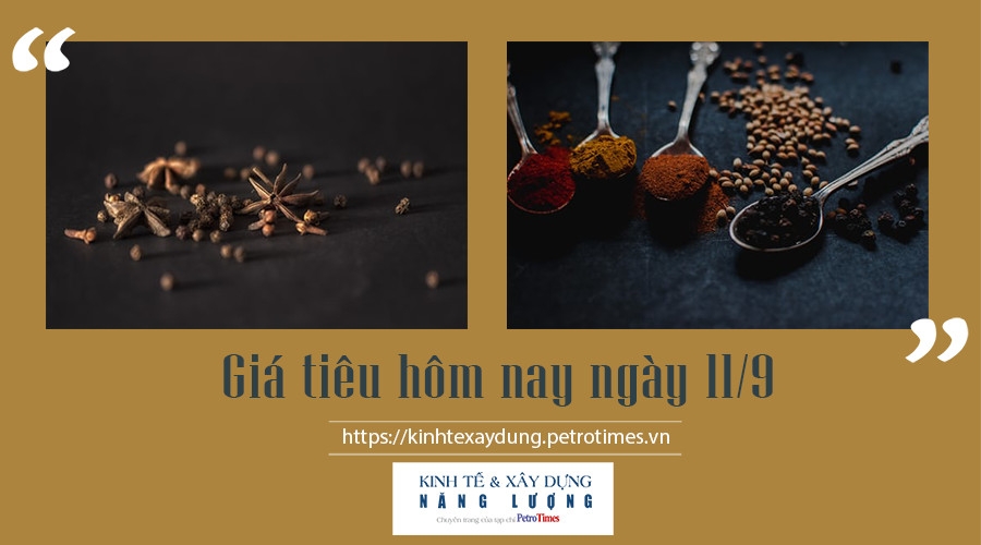 Giá tiêu hôm nay ngày 11/9: Trong nước có chiều hướng tăng nhẹ