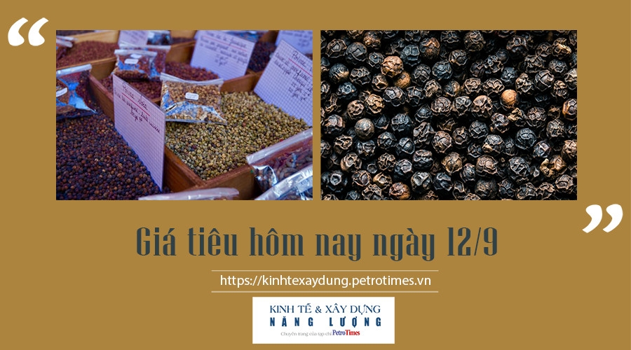 Giá tiêu hôm nay ngày 12/9: Thị trường đi ngang