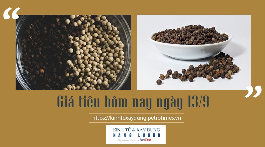 Giá tiêu hôm nay ngày 13/9: Ổn định tại các địa phương