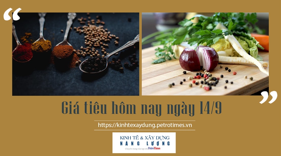 Giá tiêu hôm nay ngày 14/9: Giữ mức ổn định