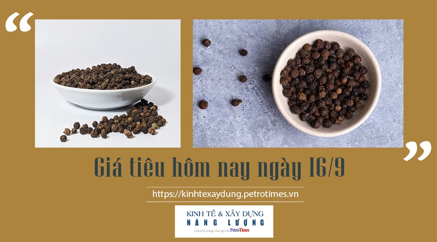 Giá tiêu hôm nay ngày 16/9: Chưa có động lực tăng
