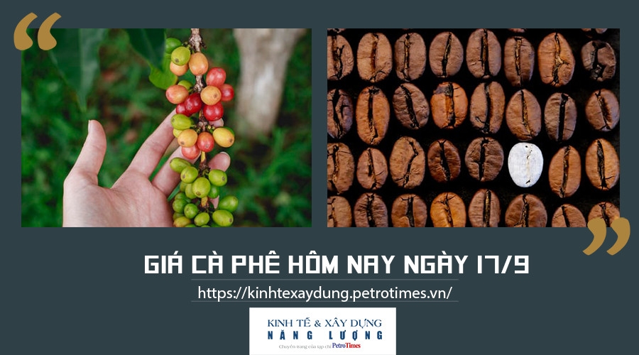 Giá cà phê hôm nay ngày 17/9: Tiếp đà tăng