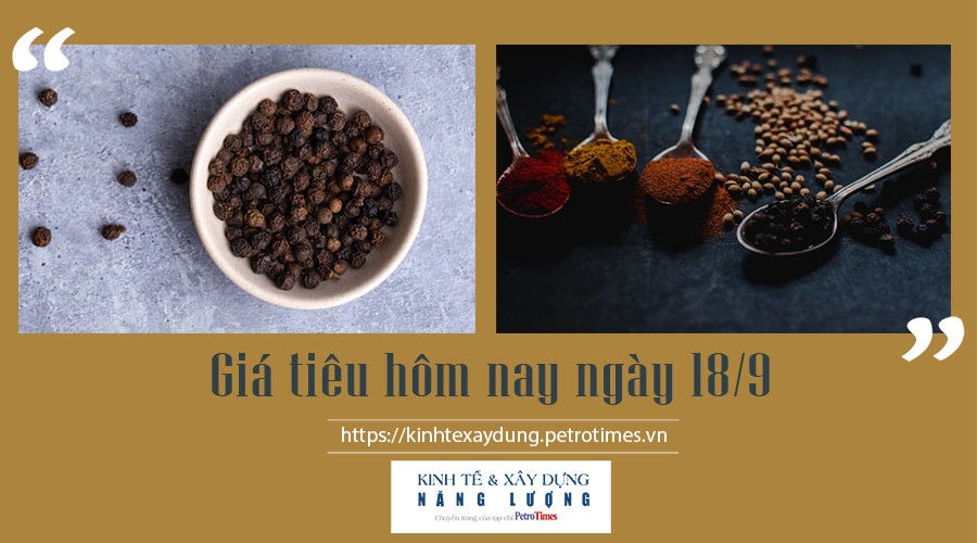 Giá tiêu hôm nay ngày 18/9: Thị trường đi ngang