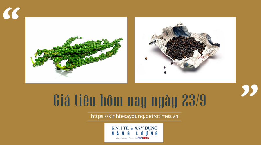 Giá tiêu hôm nay ngày 23/9: Tăng nhẹ