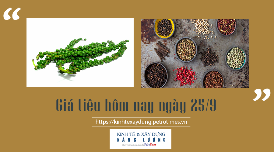 Giá tiêu hôm nay ngày 25/9: Giữ mức ổn định
