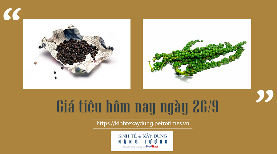 Giá tiêu hôm nay ngày 26/9: Cao nhất 81.000 đ/kg