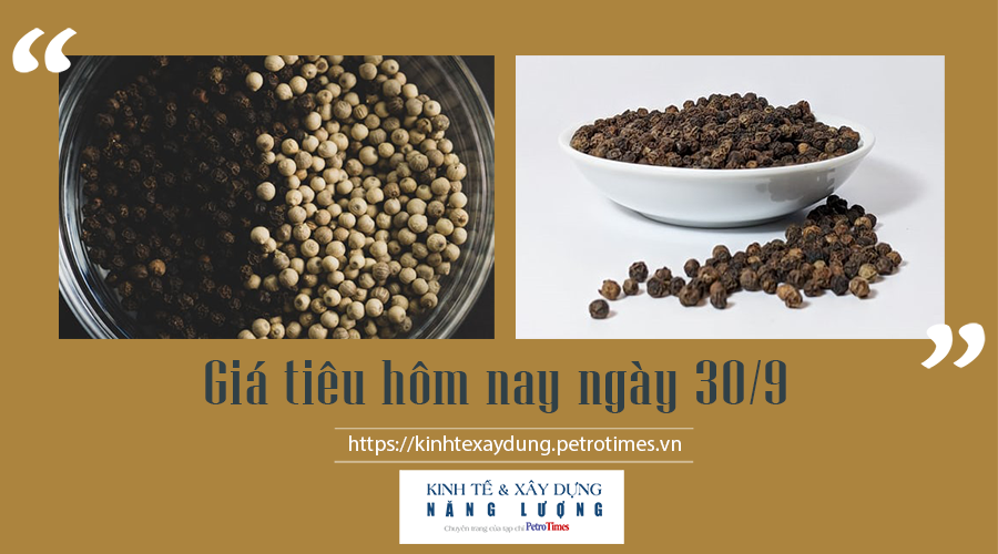 Giá tiêu hôm nay ngày 30/9: Giao dịch ảm đạm Giá tiêu hôm nay ngày 30/9: Giao dịch ảm đạm