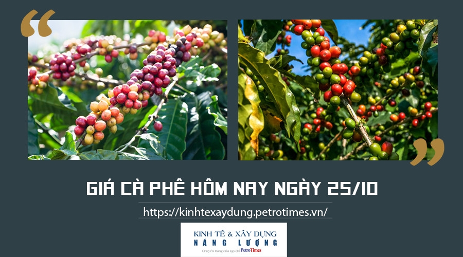 Giá cà phê hôm nay 25/10: Tiếp đà tăng tại một số địa phương trọng điểm Giá cà phê hôm nay 25/10: Tiếp đà tăng tại một số địa phương trọng điểm