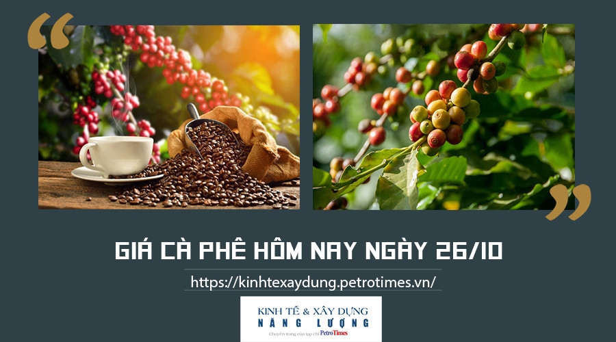 Giá cà phê hôm nay ngày 26/10: Tăng mạnh trên thị trường thế giới Giá cà phê hôm nay ngày 26/10: Tăng mạnh trên thị trường thế giới