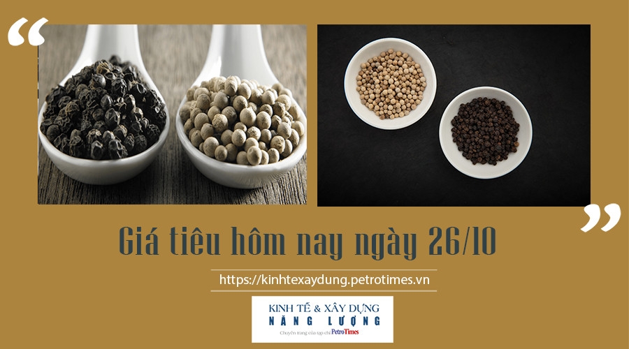 Giá tiêu hôm nay ngày 26/10: Đi ngang ở thị trường trong nước Giá tiêu hôm nay ngày 26/10: Đi ngang ở thị trường trong nước