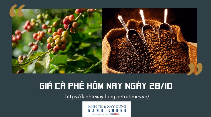 Giá cà phê hôm nay ngày 28/10: Tăng nhẹ tại thị trường trong nước Giá cà phê hôm nay ngày 28/10: Tăng nhẹ tại thị trường trong nước