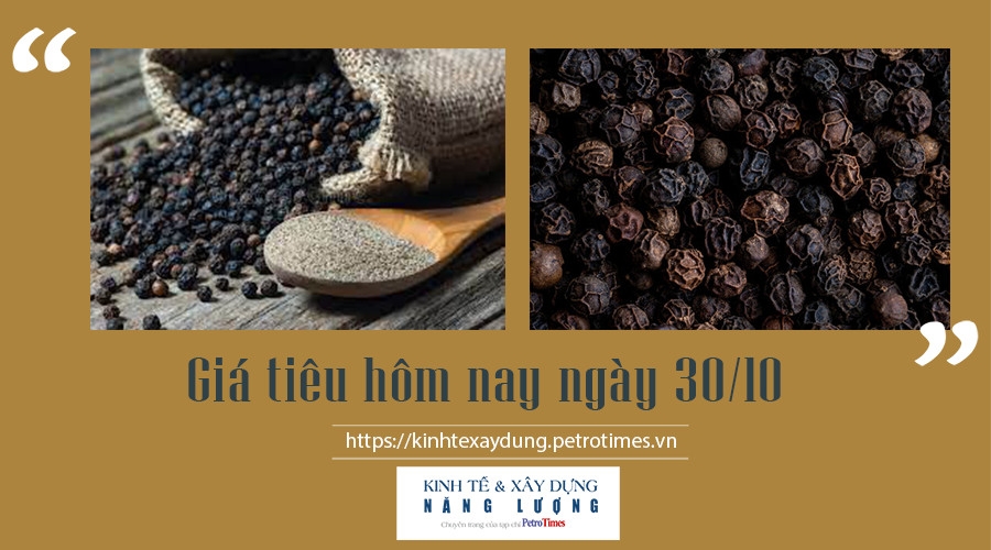 Giá tiêu hôm nay 30/10: Tiếp tục tăng mạnh Giá tiêu hôm nay 30/10: Tiếp tục tăng mạnh