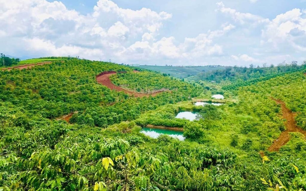 Lâm Đồng siết quy định việc tách thửa đất
