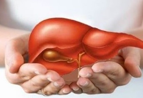 Top 14 loại thực phẩm giúp giải độc và tăng cường chức năng gan