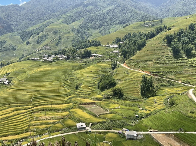 Lào Cai: Những điểm nghỉ dưỡng ở bản làng thu hút du khách