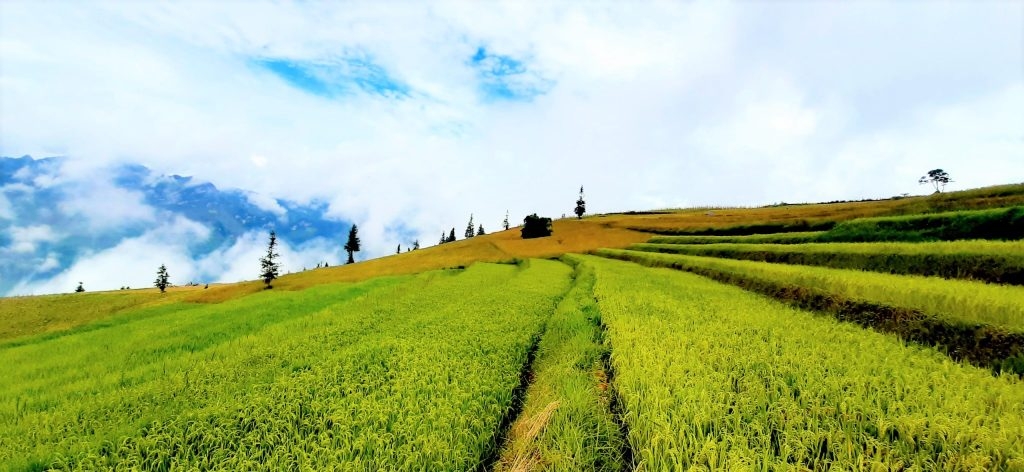 Suôi Thầu (Xín Mần) - Thảo nguyên đẹp bậc nhất Việt Nam