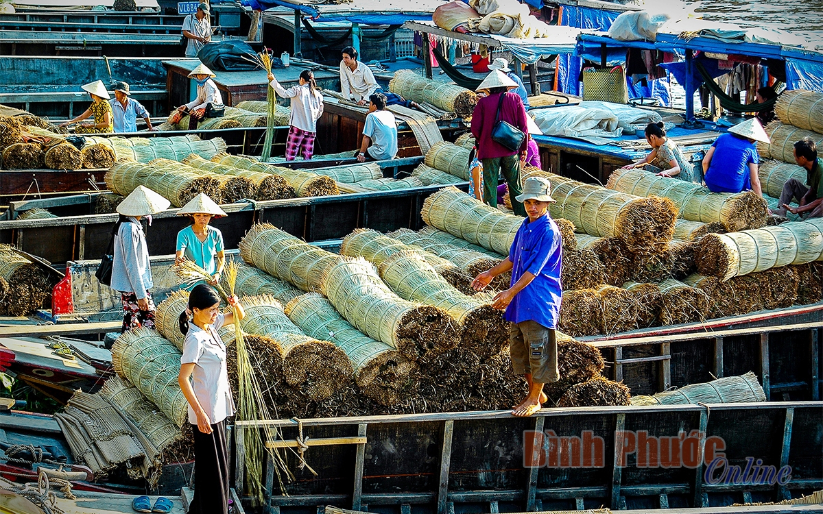 Khám phá vẻ đẹp ở làng nghề dệt chiếu trăm tuổi