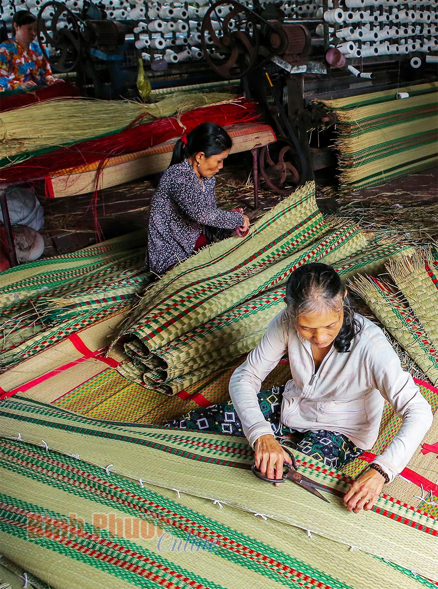 Khám phá vẻ đẹp ở làng nghề dệt chiếu trăm tuổi