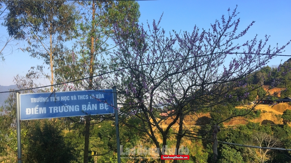 Những điểm check-in không thể bỏ qua tại Tà Xùa