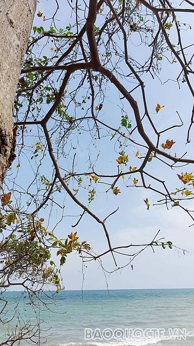 Đảo Hòn Nghệ - ‘Hạ Long ở phương Nam' Đảo Hòn Nghệ - ‘Hạ Long ở phương Nam'