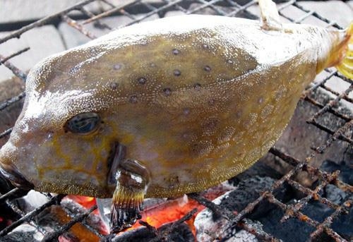 Gà nước mặn – món ngon nổi tiếng Phú Yên
