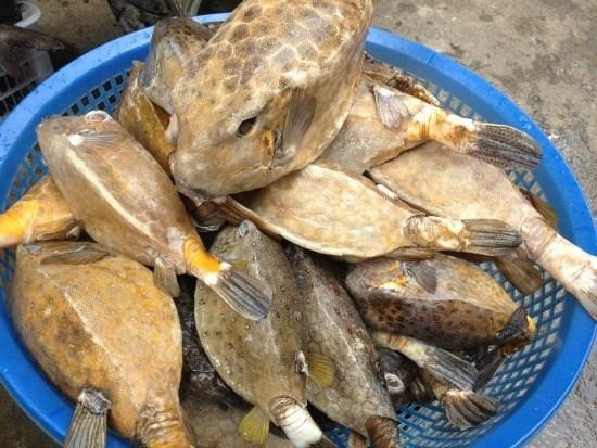 Gà nước mặn – món ngon nổi tiếng Phú Yên