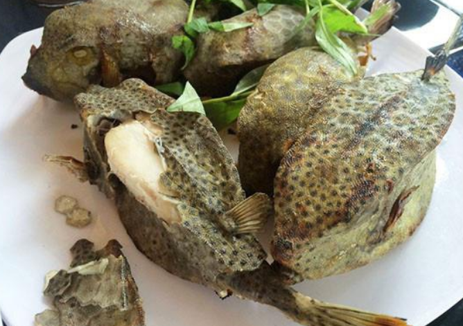 Gà nước mặn – món ngon nổi tiếng Phú Yên