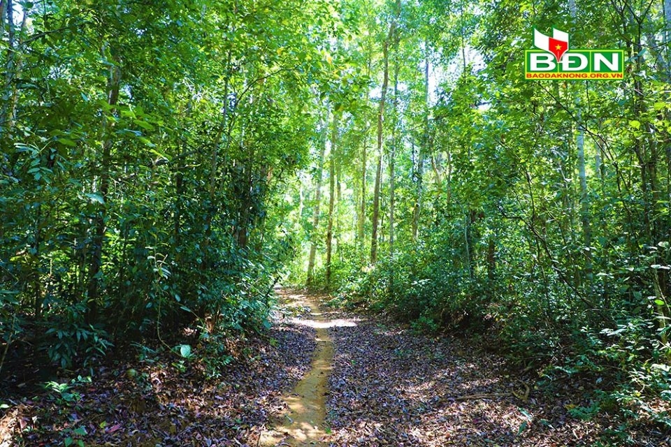 Hùng vĩ thác Bảy Tầng Hùng vĩ thác Bảy Tầng