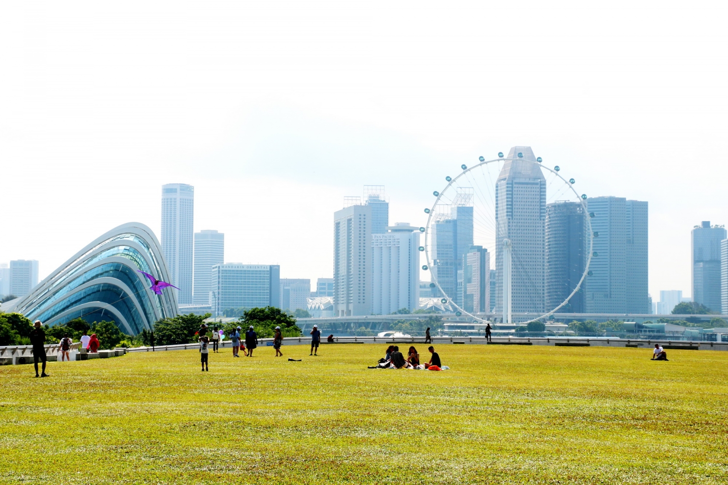 Singapore một màu xanh thẳm