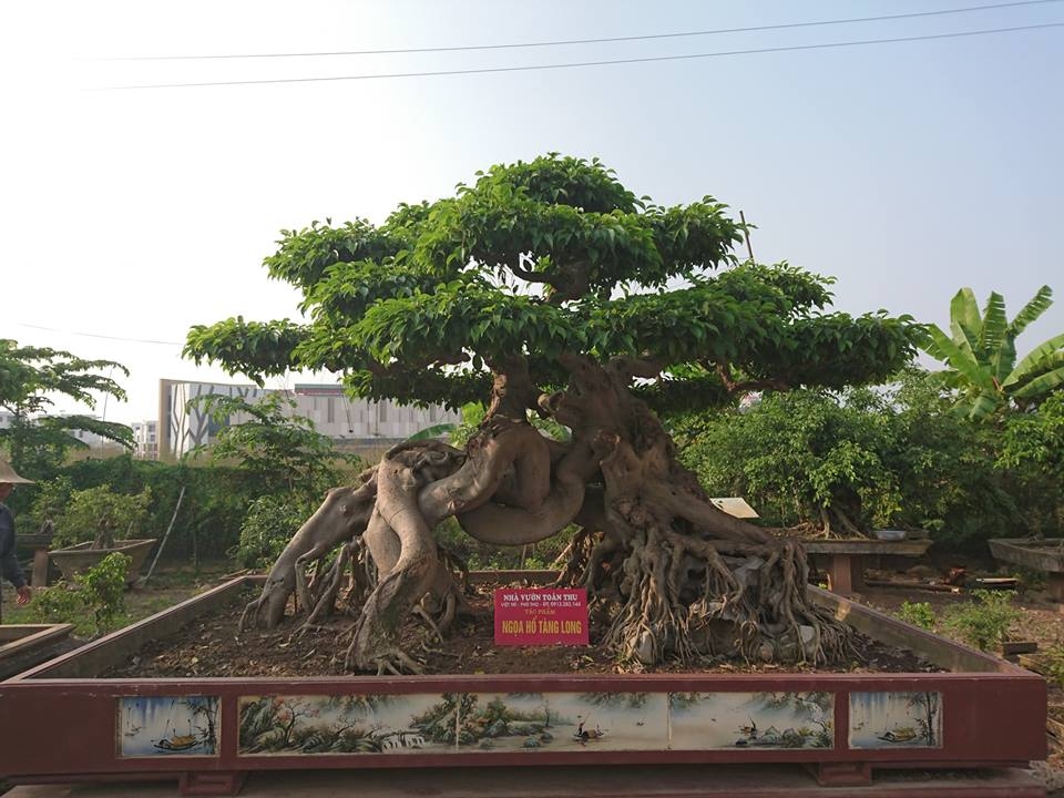 Top 10 điểm đến không thể bỏ lỡ khi đến thành phố Việt Trì