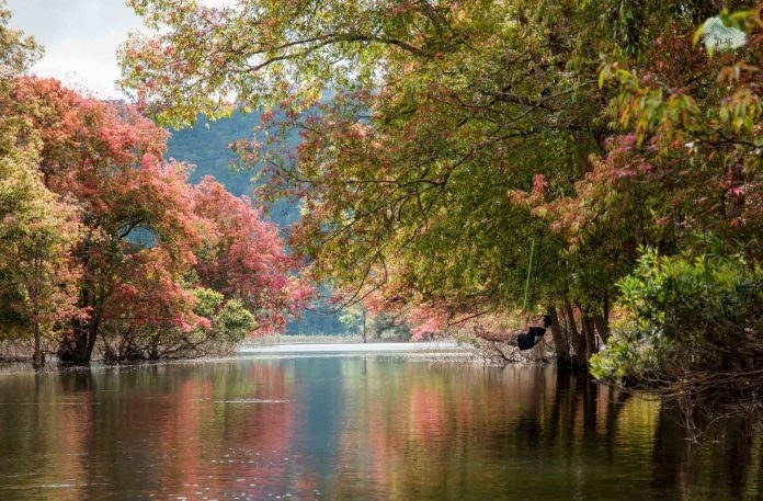 Chiêm ngưỡng mùa lá đỏ xứ D’ran