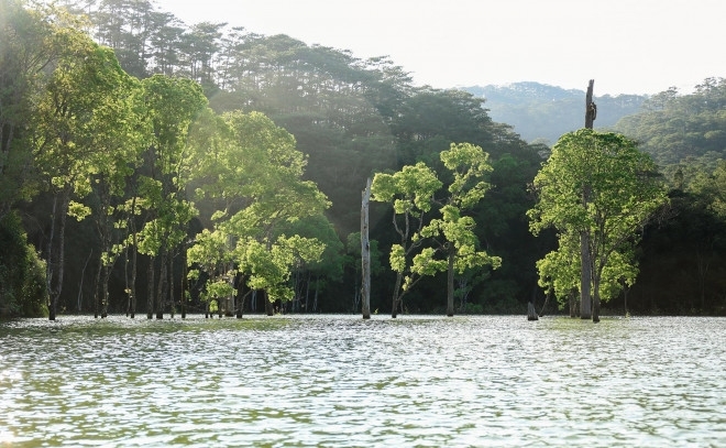 Chiêm ngưỡng mùa lá đỏ xứ D’ran