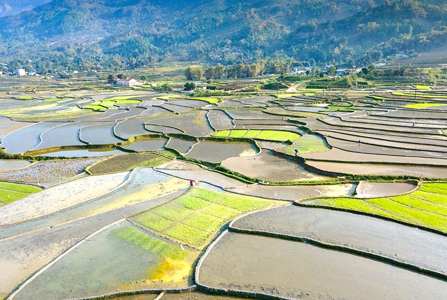 Hợp Thành mùa nước đổ: Bức bích họa của thành phố Lào Cai Hợp Thành mùa nước đổ: Bức bích họa của thành phố Lào Cai