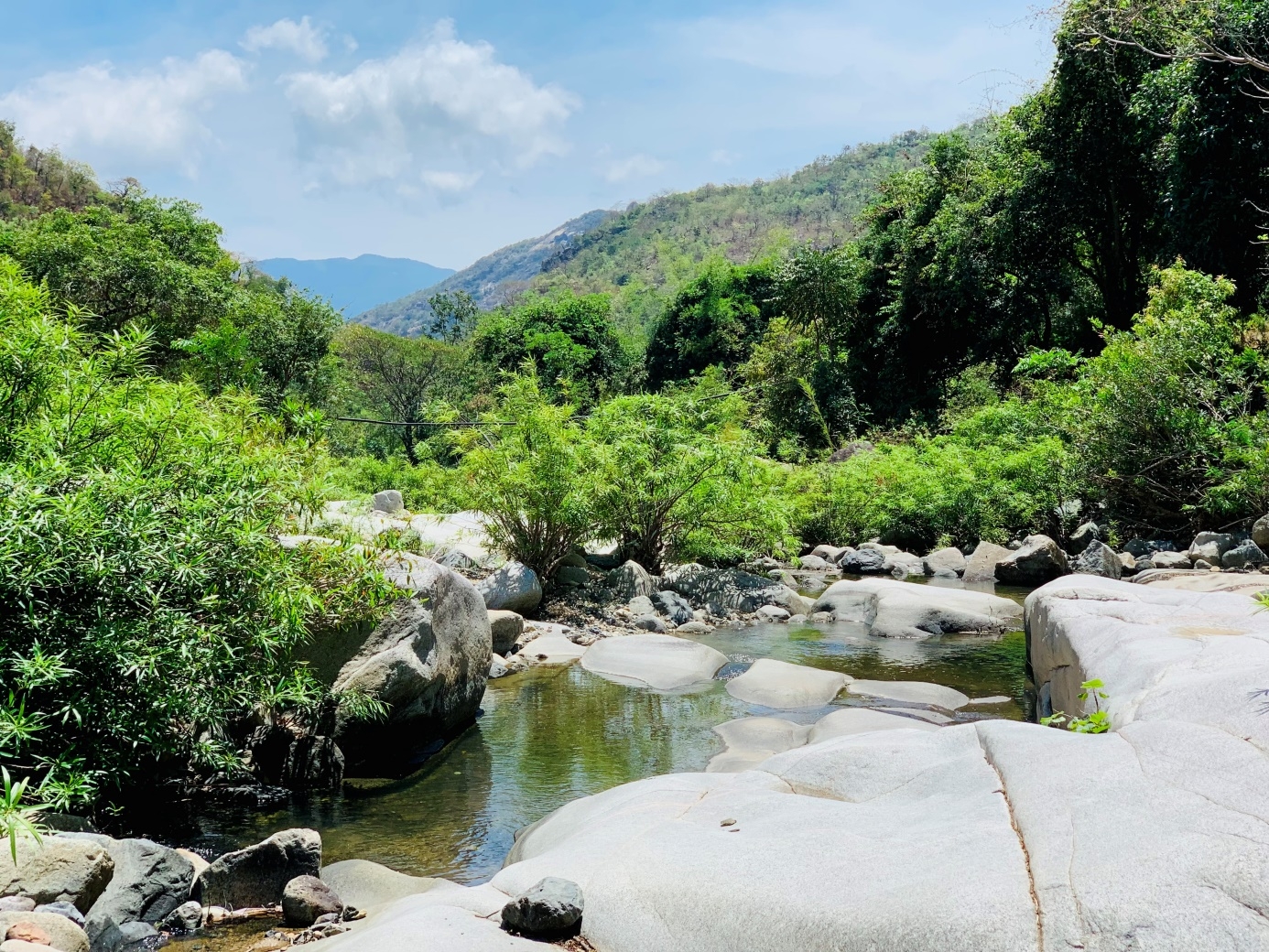 Suối Lồ Cô - Nơi dã ngoại lý tưởng giữa rừng xanh Suối Lồ Cô - Nơi dã ngoại lý tưởng giữa rừng xanh