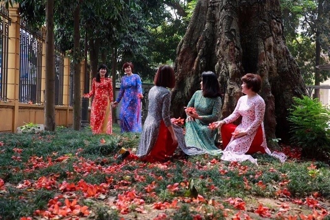 Hà Nội mở tour du lịch 