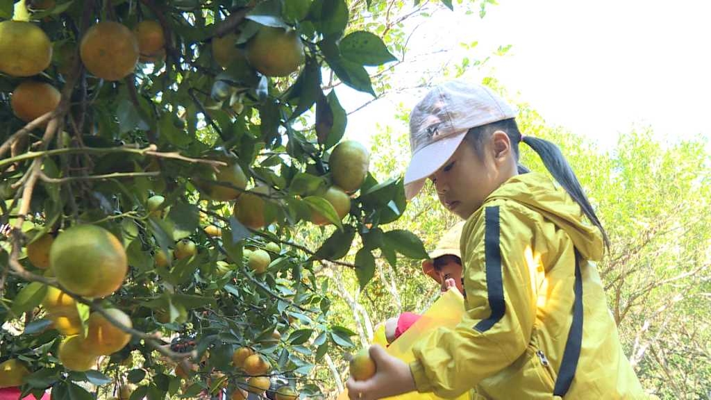 Quảng Ninh: Du lịch nông nghiệp - Hướng phát triển bền vững