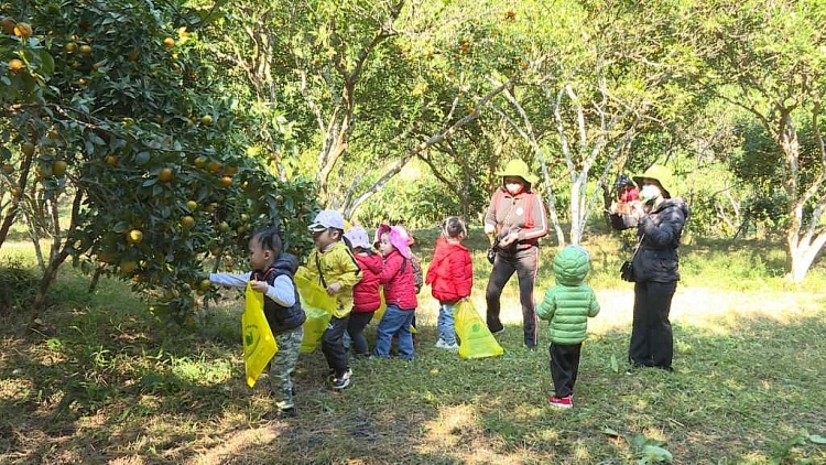 Quảng Ninh: Du lịch nông nghiệp - Hướng phát triển bền vững