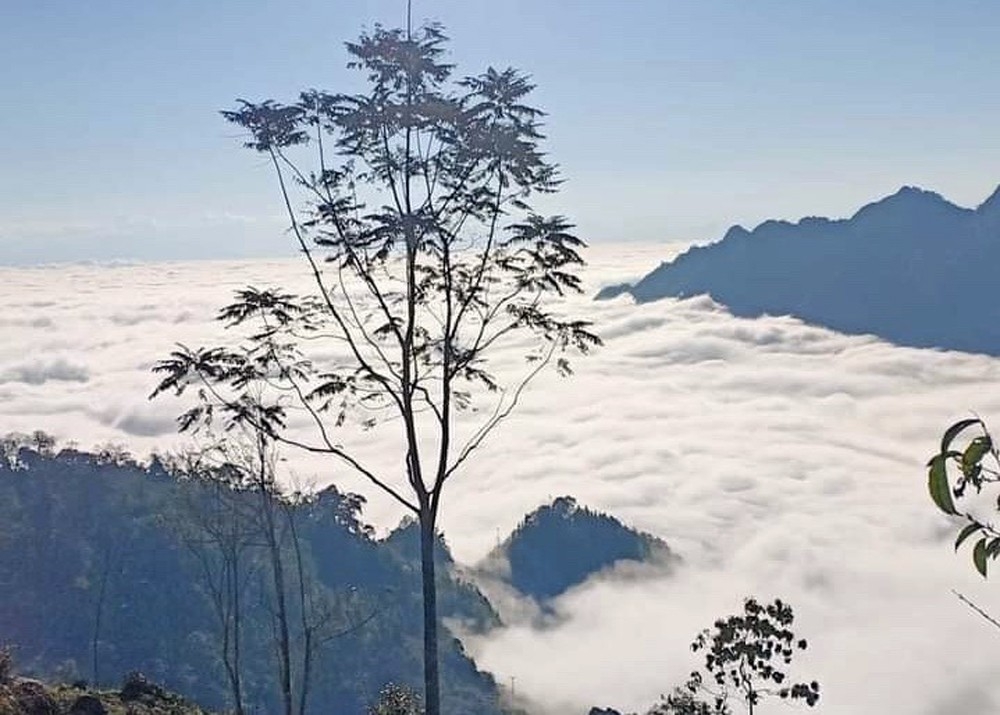 Sân mây Nhù Sang