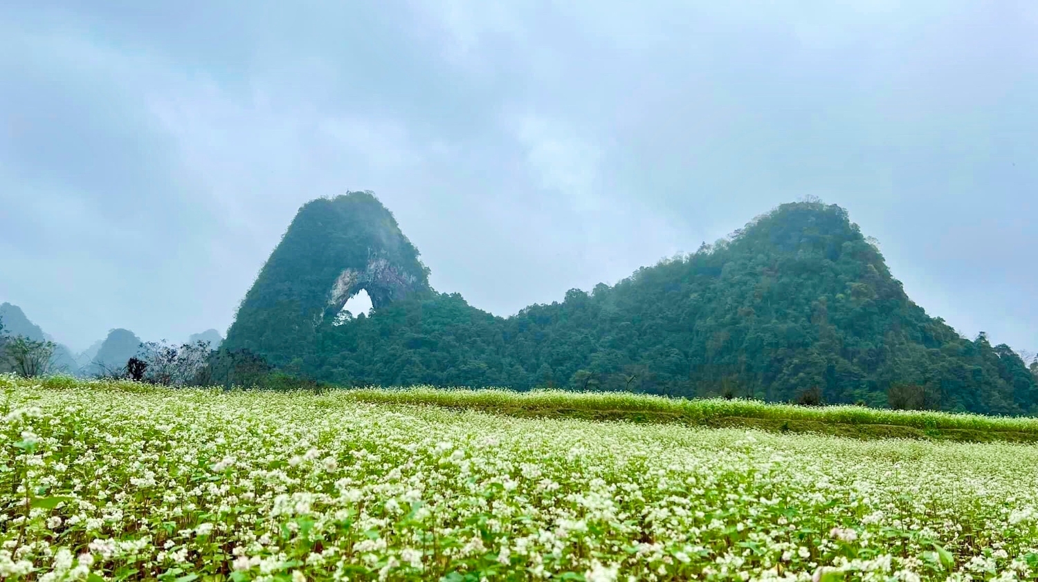 Trải nghiệm thảo nguyên – “Mắt Thần Núi”