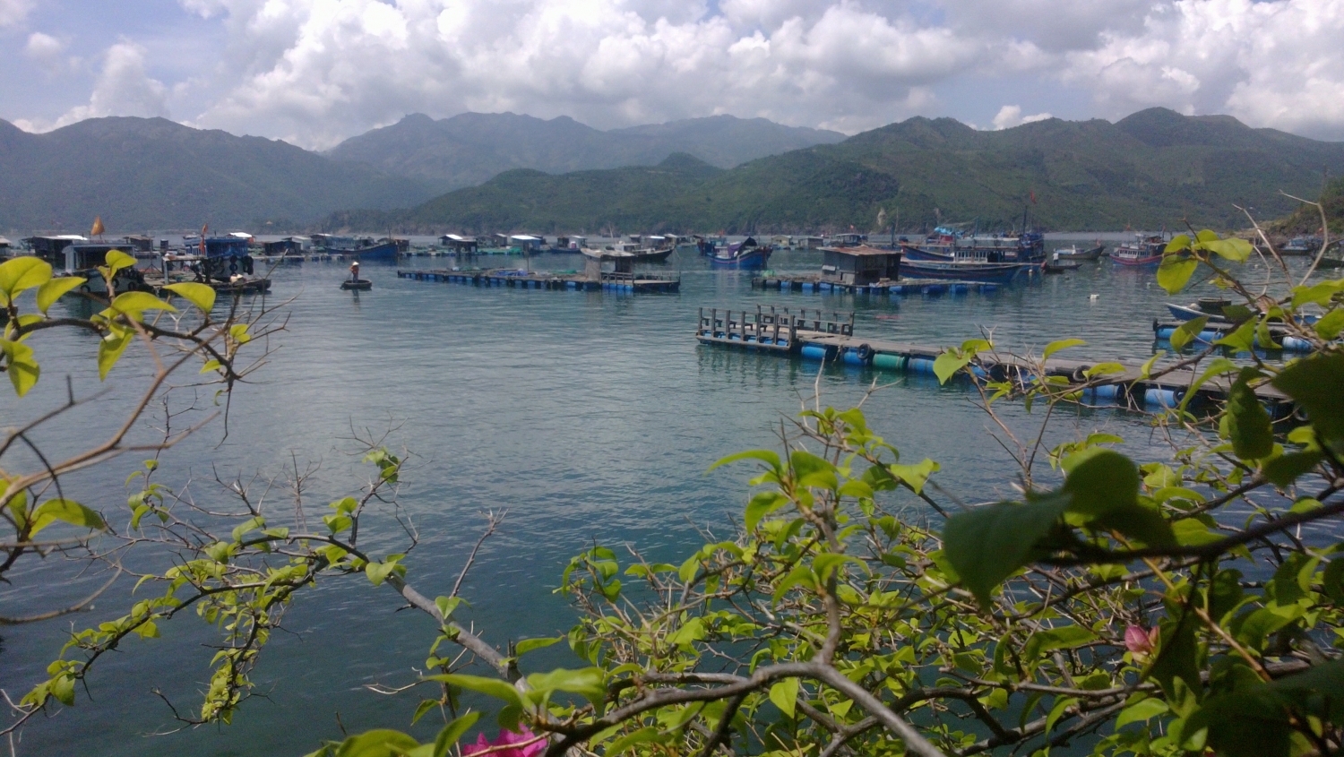 Du lịch Làng chài Trí Nguyên