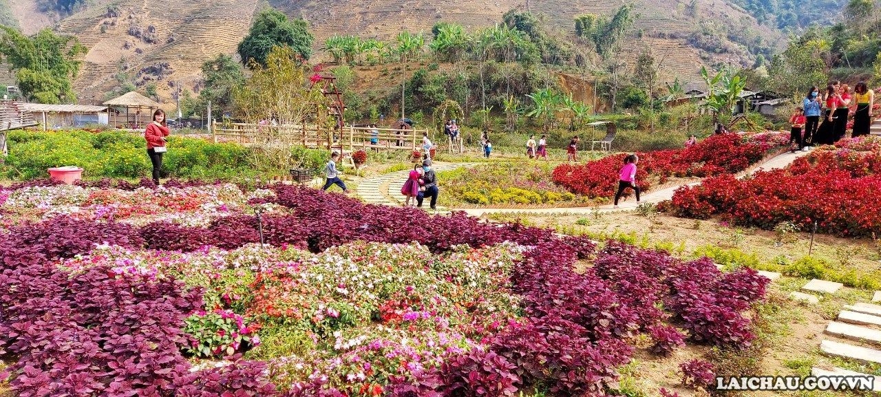 Đến bản Thẳm - Tam Đường trải nghiệm nhiều nét văn hóa độc đáo Đến bản Thẳm - Tam Đường trải nghiệm nhiều nét văn hóa độc đáo