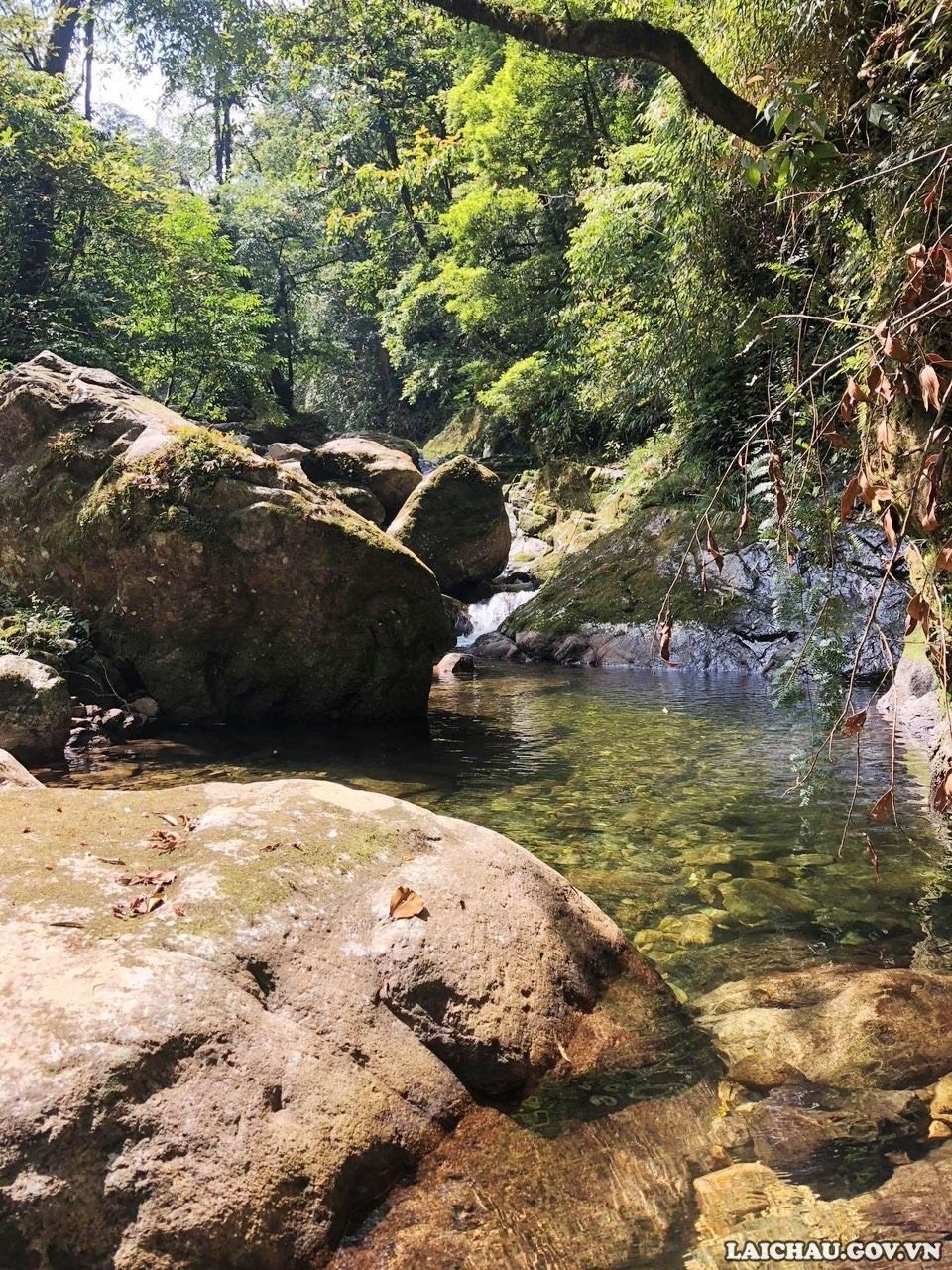 Săn hoa Đỗ Quyên trên đỉnh Pu Ta Leng Săn hoa Đỗ Quyên trên đỉnh Pu Ta Leng